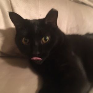 Meet your Posher, Ash